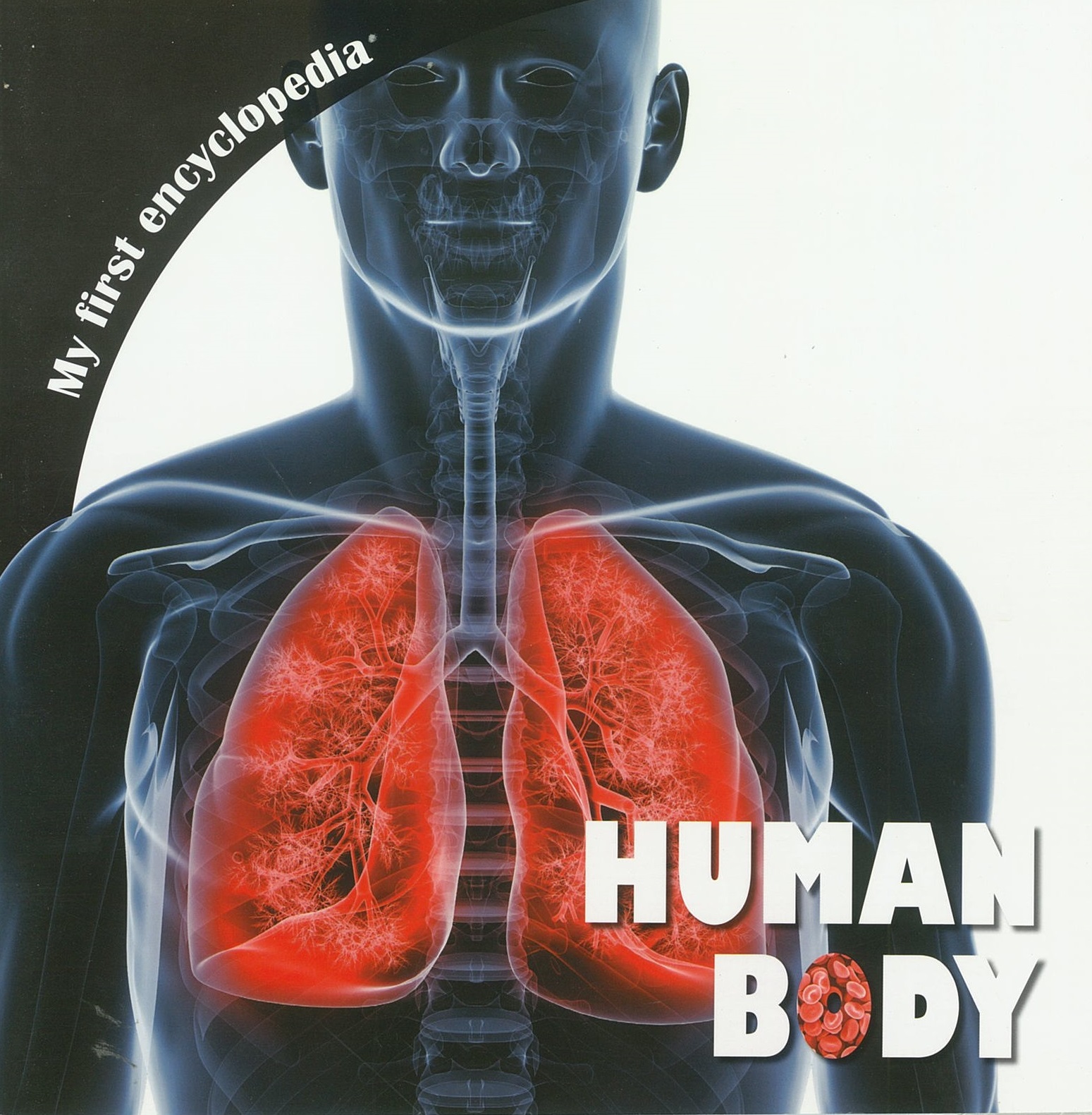 MFE Human Body